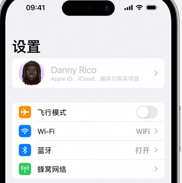 凤冈appleID维修服务iPhone设置中Apple ID显示为灰色无法使用