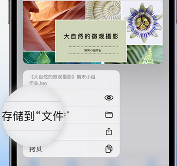 凤冈apple维修中心分享iPhone文件应用中存储和找到下载文件