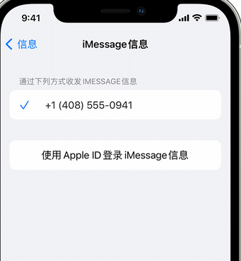 凤冈apple维修iPhone上无法正常发送iMessage信息