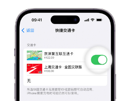 凤冈apple维修点分享iPhone上更换Apple Pay快捷交通卡手绘卡面 