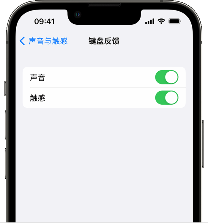 凤冈苹果14维修店分享如何在 iPhone 14 机型中使用触感键盘 