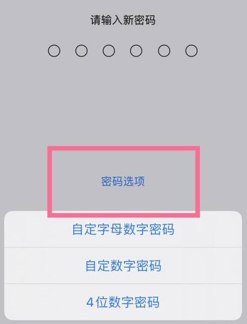 凤冈苹果14维修分享iPhone 14plus设置密码的方法 