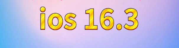 凤冈苹果服务网点分享苹果iOS16.3升级反馈汇总 