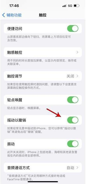 凤冈苹果手机维修分享iPhone手机如何设置摇一摇删除文字 